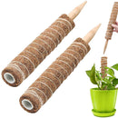 Coconut Palm Stick - Plant Supporting Poles Plant Climbing Vine (30cm)