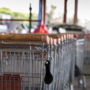 Metal Keychain Shopping Cart Token Keyring Hook Coin Holders Clip (Black)
