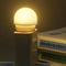 USB Plug Lamp Computer Mobile Power Charging USB Night Light (1pc-Warm)
