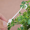 100pcs/lot Plastic Plants Clips Cherry Tomato Clips Support for Vegetable V