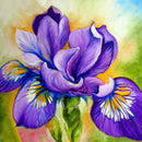 Diamond Painting With Square Stones Purple Flower Diamond Full Layout Pictu
