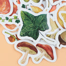 46pcs/lot Autumn Fallen leaves Plant Paper Diary Mini Cute box Stickers set 3C