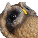 Owl Tree Face Sculpture Hugger Statues Whimsical Tree Staute Outdoor Decor