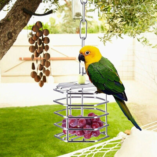 Pet Bird Parrot Squirrel Bold Stainless Steel Food Hanging Cage Foraging To L4Z9