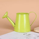 Pastoral Style Colorful Metal Tin Flower Pot Mini Bonsai Watering Can Green