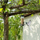 Lightweight Transparent Bird Feeder, Tube Shaped Hanging Bird Feeder for Garden