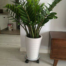 2Pcs 11Inch Plant Flower Stand Heavy Duty Metal Plant Caddy Indoor Coppery