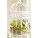 4 Pieces Bird Cage Shaped Plant Stand Flower Stand Bird Cage Nordic Retro