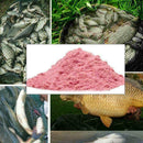 20g Strawberry Flavor Additive Carp Fishing Groundbait Bait Making Scent