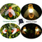 Solar Powered String Lights 30LED Honey Bee Shape for Garden Decoration CourC4V4