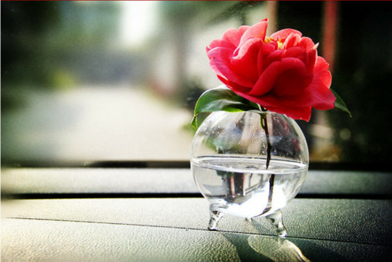 6pcs Glass Ball Shaped Flower Plant Tabletop Vases   Bowl Container Decor