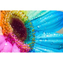 Full Drill Square Diamond 5D Diy Diamond Painting"Colorful Sunflowers"Diamo