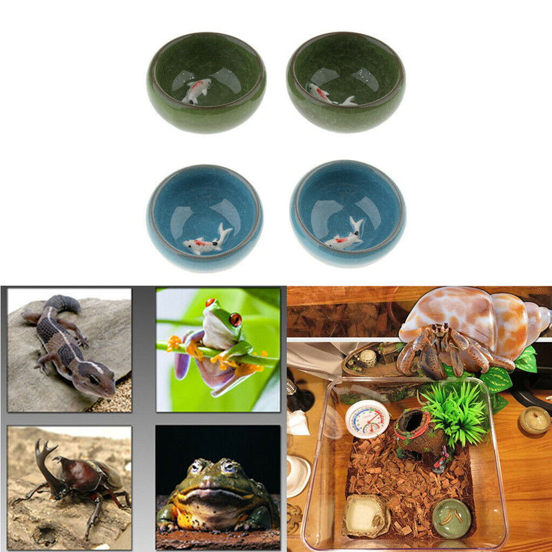 2pcs Reptile Food Water Dish Worm Bowl Ceramic Mealworm Feed Feeder Random