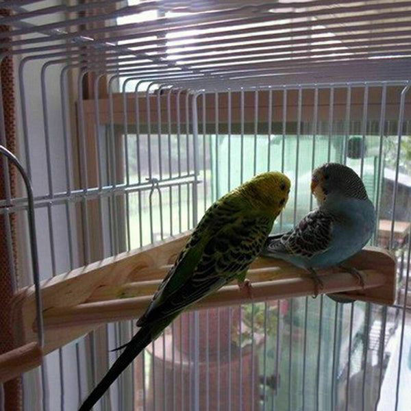 Wooden Parrot Bird Cage Perches Stand Platform Pet B2U4 Budgie Rat-Toys Par Q7E5