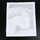 Diy Oil Painting by Numbers -Horses- PBN Kit for Adults Girls Kids White Ch