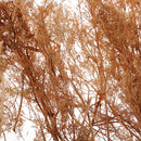 Layout Dry Natural Quinoa Models DIY Landscape For RR Train Diorama Scenery