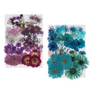 1 Set Natural Real Dried Flowers Card Making Album Frame Decor 2.5-3.5cm
