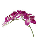 1 orchid flower decorative Branch Orchid Butterfly Artificial Flowers for H N7H4