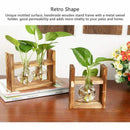 Glass containers, plant glass containers, modern decorative glass pots, hyd