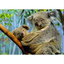 5D DIY Full Drill Diamond Painting Koala Cross Stitch Embroidery (LG051)