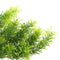 10Pcs Artificial Cedar Tree 30cm Tall Plastic Green Indoor Outdoor Decor