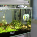 65w Anti-explosion Aquarium Heater Submersible Fish Tank LCD Heater Thermometer