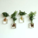 2x Wall Hanging Flower Vase Terrarium Container Plant Holder Garden Yard DIY