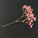 Fashion Mixed Dried Flowers Nail Art DIY Women Girl Decor Flower Manicure Crafts