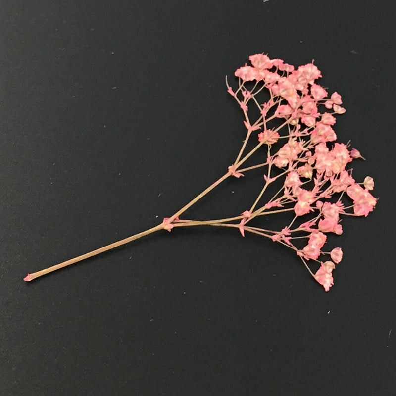 Fashion Mixed Dried Flowers Nail Art DIY Women Girl Decor Flower Manicure Crafts