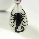Glow-In-The-Dark Real Insect Keychain (Black Scorpion)