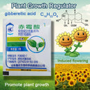 1g Concentrate Gibberellic Acid Plant Growth Regulator Fertilizer Increase Grow