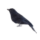 Realistic Looking Halloween Decoration Birds Black Feathered Crows3C