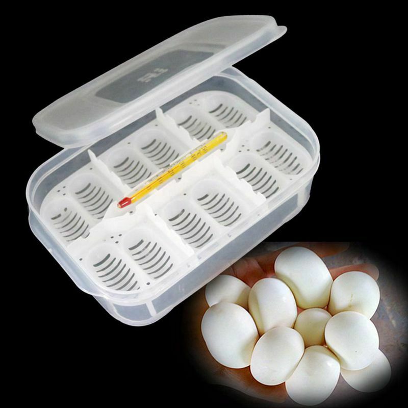 12 Holes Reptile Egg Incubation Tray With Thermometer Incubating Gecko Liza