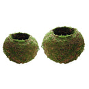 2-Pcs Creative Moss Ball Flower Pot Planter for Home Garden Decor, 9cm & 18cm