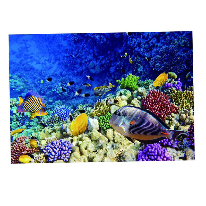 Aquarium Background Poster Fish Tank Wallpaper Decor Sea World  61x41cm