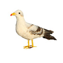 Artificial Xmas Feather Birds Seagull Tree Decorations Craft Ornaments