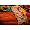 2 pcs Stainless Steel Shovel Sifter Sand Cleaner Pet Reptile Supplies