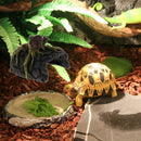 Wood Root Cave Shape Den Caves/ Hides Shelter Basking Platform Hideout House for