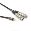 2x 3.5mm 1/8" Stereo Plug to Dual XLR 3Pin Female Microphone Audio TRS Cable