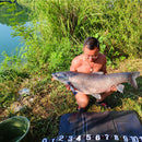 Foldable Coarse Carp Fishing Unhooking Mat Pads Outdoor Fishing Gear - 38" x 19"