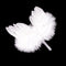 Infant Newborn Boy Girl Fairy Feather Pure white Angel Wings Decor OZ