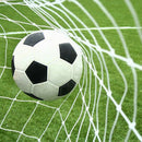 24X8FT Full Size Soccer Goal Net Sports Football Post Netting Training Back