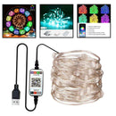 LED String Light Curtain Window Decor App Control In/Outdoor 5Meters 50LED