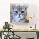 5D DIY Diamond Painting Cat Full Drill Embroidery Cross Stitch Art Picture