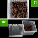 10x Feeding Container for Reptiles Insects Spider Tarantula Tanks Box H1