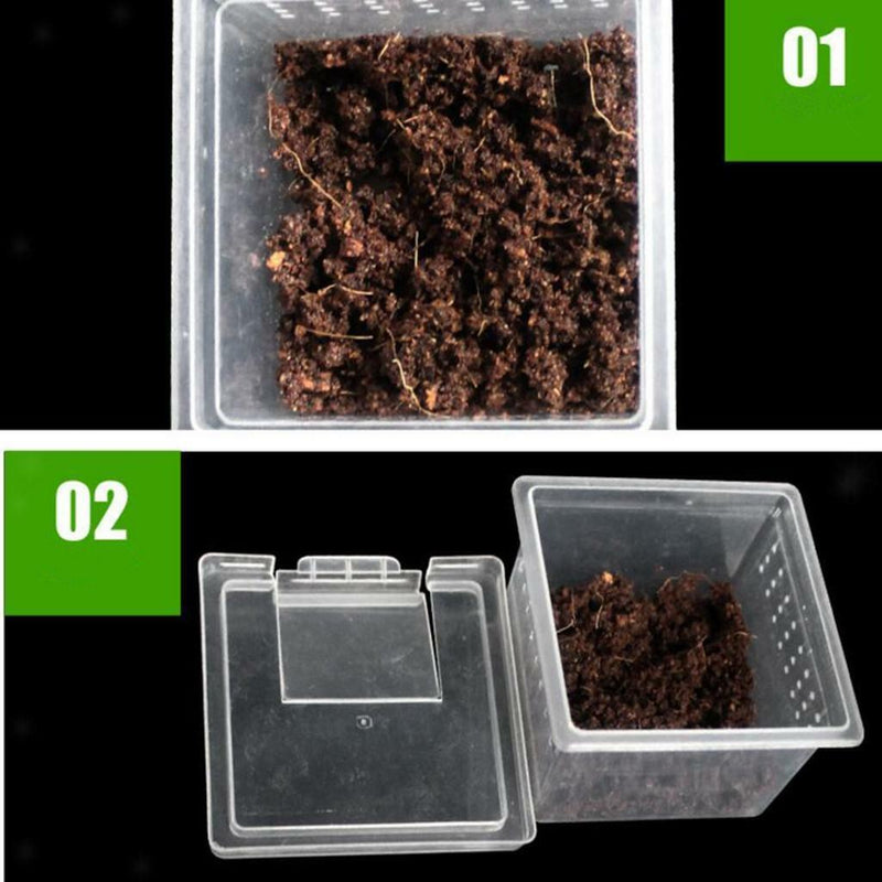 10x Feeding Container for Reptiles Insects Spider Tarantula Tanks Box H1