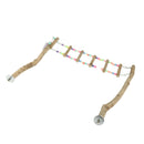 Natural Wood Bird Standing Climbing Ladder & PerchToy Set for Large Medium