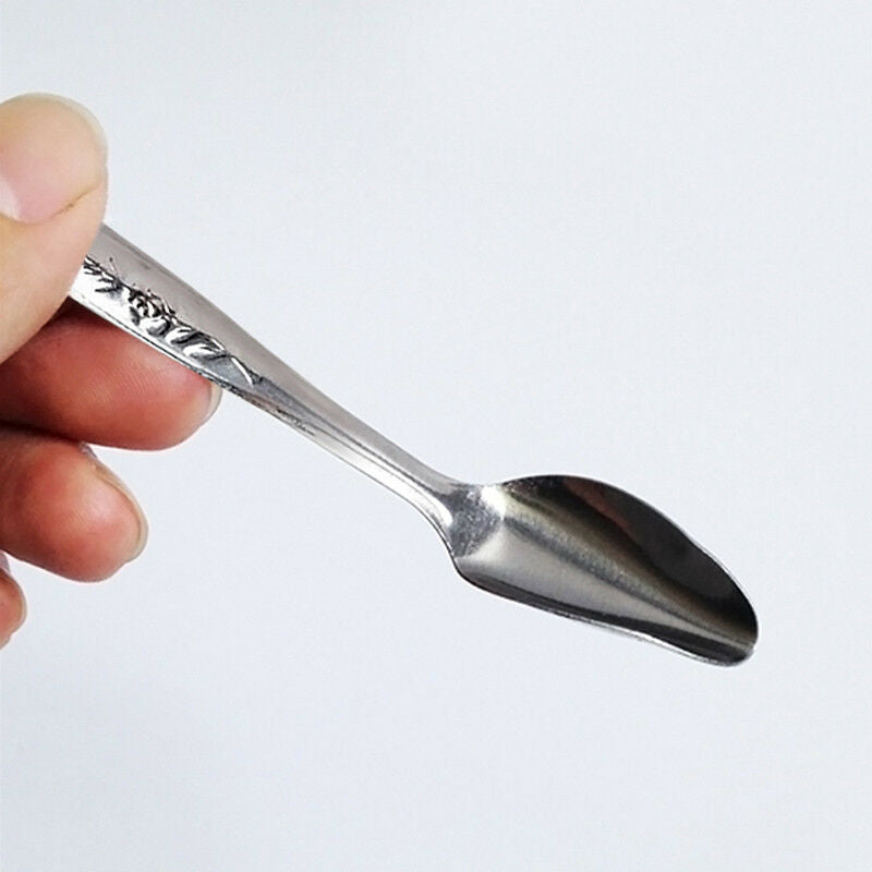 Pet Bird Parrot Cockatiel Metal Hand Milk Food Medicine Feeding Spoon  New