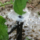 35Mdiy Micro-Water Irrigation System Garden Greenhouse Plant Automatic Wate