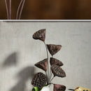 Lotus Natural Dried Flowers Bouquet Dried Plants Branch Fall Decorations FlorTE